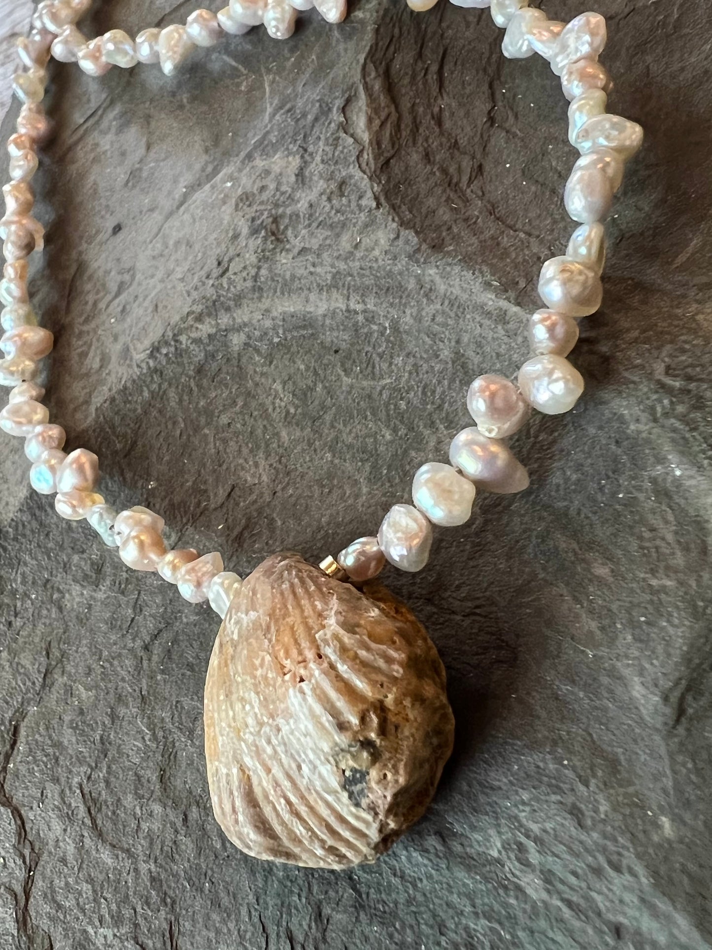 Clam Fossil & High Luster Fresh Water Pearl One of a Kind Necklace