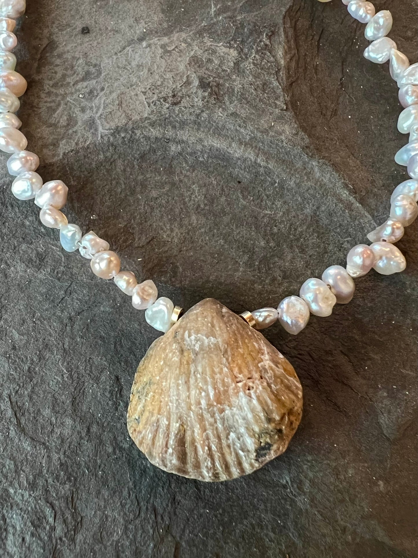 Clam Fossil & High Luster Fresh Water Pearl One of a Kind Necklace